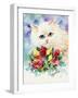 Odd Eye White Persian Cat-sylvia pimental-Framed Art Print