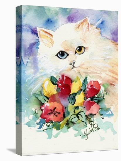 Odd Eye White Persian Cat-sylvia pimental-Stretched Canvas