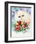 Odd Eye White Persian Cat-sylvia pimental-Framed Art Print