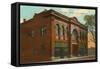 Odd Fellows Building, Albuquerque, New Mexico-null-Framed Stretched Canvas