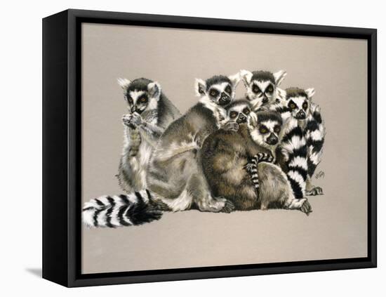 Odd Man Out-Barbara Keith-Framed Stretched Canvas