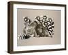 Odd Man Out-Barbara Keith-Framed Giclee Print