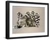 Odd Man Out-Barbara Keith-Framed Giclee Print