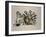 Odd Man Out-Barbara Keith-Framed Giclee Print