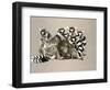 Odd Man Out-Barbara Keith-Framed Giclee Print