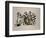 Odd Man Out-Barbara Keith-Framed Giclee Print