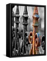 Odd One Out-Nathan Wright-Framed Stretched Canvas