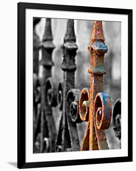 Odd One Out-Nathan Wright-Framed Photographic Print