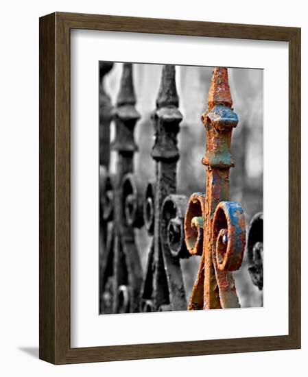 Odd One Out-Nathan Wright-Framed Photographic Print