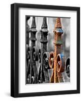 Odd One Out-Nathan Wright-Framed Photographic Print