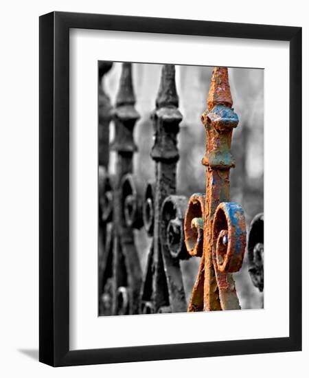 Odd One Out-Nathan Wright-Framed Photographic Print