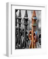 Odd One Out-Nathan Wright-Framed Photographic Print