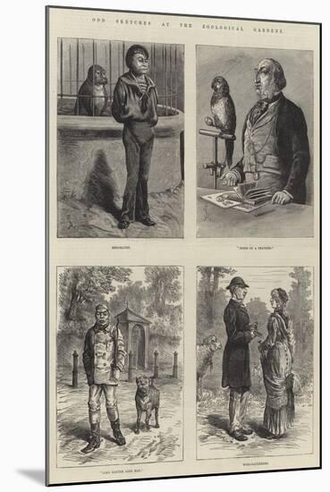 Odd Sketches at the Zoological Gardens-Johann Nepomuk Schonberg-Mounted Giclee Print