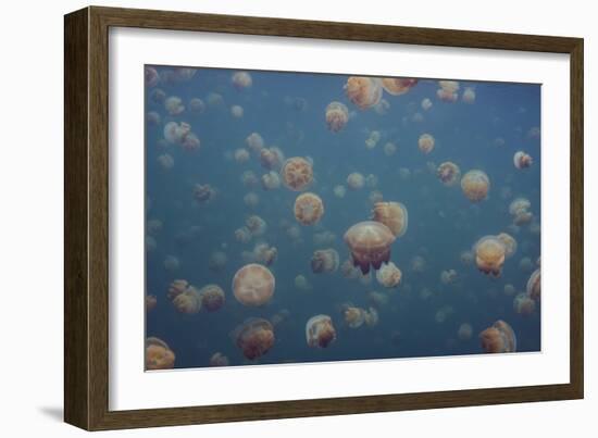 Oddworld-Piron Xavier-Framed Giclee Print