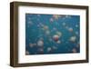 Oddworld-Piron Xavier-Framed Photographic Print