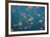 Oddworld-Piron Xavier-Framed Photographic Print