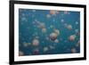 Oddworld-Piron Xavier-Framed Photographic Print