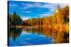 Ode to Autumn-Philippe Sainte-Laudy-Stretched Canvas