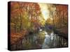 Ode to Autumn-Jessica Jenney-Stretched Canvas