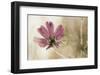 Ode to Innocence-David Winston-Framed Giclee Print