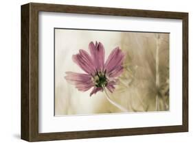 Ode to Innocence-David Winston-Framed Giclee Print