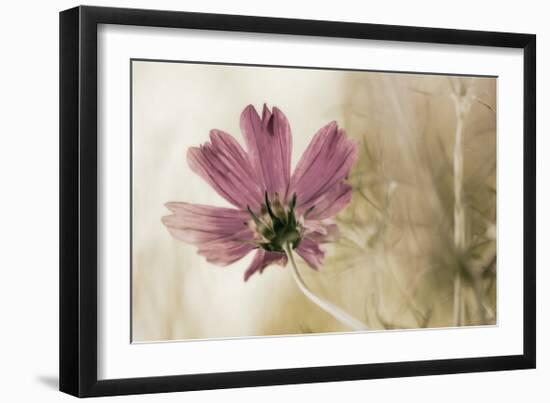 Ode to Innocence-David Winston-Framed Giclee Print