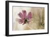 Ode to Innocence-David Winston-Framed Giclee Print