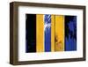 Ode to the American Sublime-Carmine Thorner-Framed Art Print