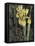 Ode to Yellow Flowers-Color Bakery-Framed Stretched Canvas