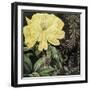 Ode to Yellow I-null-Framed Giclee Print