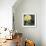 Ode to Yellow I-null-Framed Giclee Print displayed on a wall