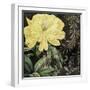 Ode to Yellow I-null-Framed Giclee Print