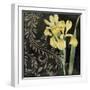 Ode to Yellow II-null-Framed Giclee Print