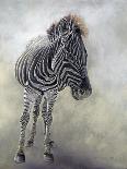Equus burchelli 2, 2010-Odile Kidd-Giclee Print