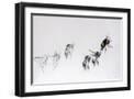Black Frame