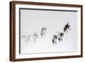 Brown Frame