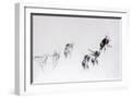 White Frame