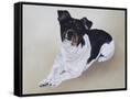 Canvas Black