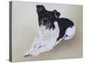 Stretched Canvas