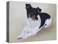 Stretched Canvas