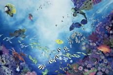 Underwater World III, 2002-Odile Kidd-Framed Stretched Canvas
