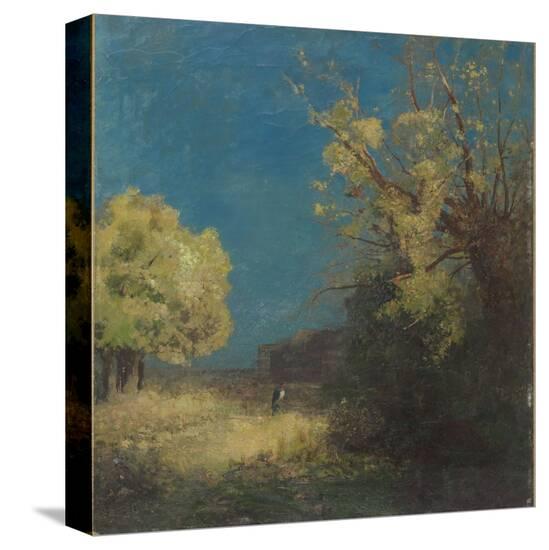 Stretched Canvas Print, , large