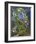 Odin-Sue Clyne-Framed Giclee Print