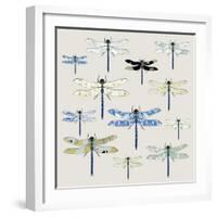 Odonata, 2008-Sarah Hough-Framed Giclee Print