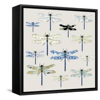 Odonata, 2008-Sarah Hough-Framed Stretched Canvas