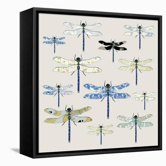 Odonata, 2008-Sarah Hough-Framed Stretched Canvas