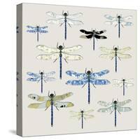 Odonata, 2008-Sarah Hough-Stretched Canvas