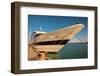 Odyssey Navy Pier Chicago-Steve Gadomski-Framed Photographic Print