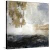 Odyssey-Mark Chandon-Stretched Canvas