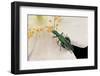 Oedemera Nobilis (False Oil Beetle, Thick-Legged Flower Beetle) - Male-Paul Starosta-Framed Photographic Print